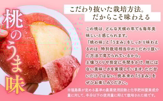 â2026幎å€çºéâææïœç£çŽã»æ¡ã»çŽ2kgïœ â»é¢å³¶ãžã®é
éäžå¯ â»2026幎7æäžæ¬ïœ7æäžæ¬é ã«é 次çºéäºå® ïœ å
è¡äºçŽ äºçŽ æ°ééå® æ¡ ãã ã¢ã¢ æç© ãã ãã® ãã«ãŒã è©°ãåãã çŠå³¶ ãµãããŸ