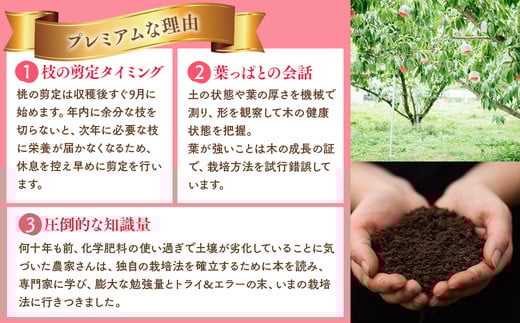 â2026幎å€çºéâææïœç£çŽã»æ¡ã»çŽ2kgïœ â»é¢å³¶ãžã®é
éäžå¯ â»2026幎7æäžæ¬ïœ7æäžæ¬é ã«é 次çºéäºå® ïœ å
è¡äºçŽ äºçŽ æ°ééå® æ¡ ãã ã¢ã¢ æç© ãã ãã® ãã«ãŒã è©°ãåãã çŠå³¶ ãµãããŸ