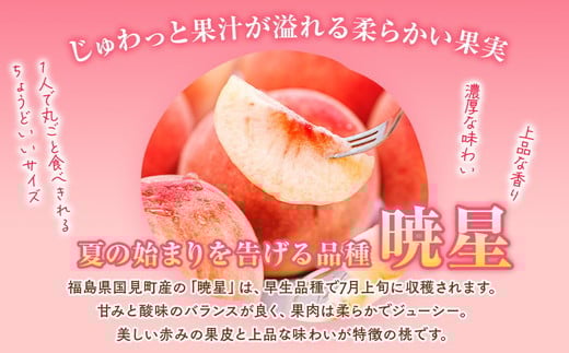 â2026幎å€çºéâææïœç£çŽã»æ¡ã»çŽ2kgïœ â»é¢å³¶ãžã®é
éäžå¯ â»2026幎7æäžæ¬ïœ7æäžæ¬é ã«é 次çºéäºå® ïœ å
è¡äºçŽ äºçŽ æ°ééå® æ¡ ãã ã¢ã¢ æç© ãã ãã® ãã«ãŒã è©°ãåãã çŠå³¶ ãµãããŸ