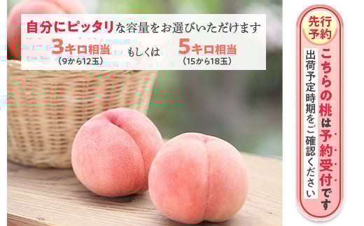 ééåŒå
ã»ã³ãµãŒããã€ãæ¡ ç¹ç§3kgçžåœ 9çïœ11çïŒ ãµãããŸæªæ¥èŸ²æ¥ååçµå ïŒ | ãµãããŸ æ¡ çŠå³¶ ãã åœèŠ ã¢ã¢ â»2026幎7æäžæ¬ïœ8æäžæ¬é ã«é 次çºéäºå® â»æ²çžã»é¢å³¶ãžã®é
éäžå¯