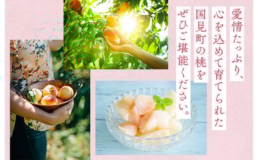 ééåŒå
ã»ã³ãµãŒããã€ãæ¡ ç¹ç§3kgçžåœ 9çïœ11çïŒ ãµãããŸæªæ¥èŸ²æ¥ååçµå ïŒ | ãµãããŸ æ¡ çŠå³¶ ãã åœèŠ ã¢ã¢ â»2026幎7æäžæ¬ïœ8æäžæ¬é ã«é 次çºéäºå® â»æ²çžã»é¢å³¶ãžã®é
éäžå¯