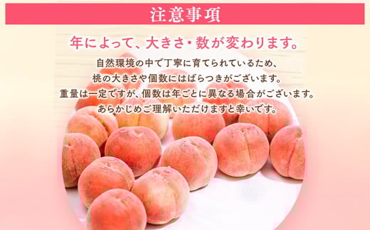 â2026幎å€çºéâïŒ ç£çŽã»å®¶åºçš æ¡ã»çŽ1.5kg ïŒ â»åæµ·éã»æ²çžã»é¢å³¶ãžã®é
éäžå¯ â»2026幎7æäžæ¬ïœ9æäžæ¬é ã«é 次çºéäºå®ïœæ¡ ãã ã¢ã¢ ãã«ãŒã æç© ãµãã㟠çŠå³¶ åœèŠçº è©°ãåãã