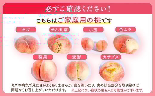 â2026幎å€çºéâïŒ ç£çŽã»å®¶åºçš æ¡ã»çŽ1.5kg ïŒ â»åæµ·éã»æ²çžã»é¢å³¶ãžã®é
éäžå¯ â»2026幎7æäžæ¬ïœ9æäžæ¬é ã«é 次çºéäºå®ïœæ¡ ãã ã¢ã¢ ãã«ãŒã æç© ãµãã㟠çŠå³¶ åœèŠçº è©°ãåãã