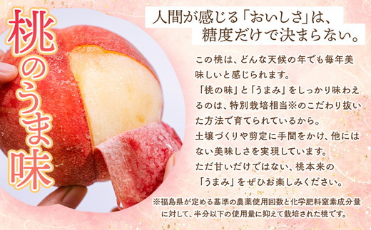 â2026幎å€çºéâæ¡æºã®ããã¿ ïœç£çŽã»æ¡ã»çŽ2kgïœ â»é¢å³¶ãžã®é
éäžå¯ â»2026幎7æäžæ¬ïœ9æäžæ¬é ã«é 次çºéäºå®ïœå
è¡äºçŽ äºçŽ æ¡ ãã ã¢ã¢ æç© ãã ãã® ãã«ãŒã è©°ãåãã çŠå³¶ ãµãããŸ