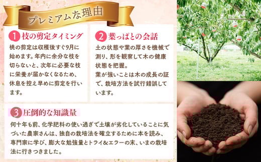 ◆2026年夏発送◆桃源の極み ～産直・桃・約2kg～ ※離島への配送不可 ※2026年7月上旬～9月上旬頃に順次発送予定｜先行予約 予約 桃 もも モモ 果物 くだもの フルーツ 詰め合わせ 福島 ふくしま
