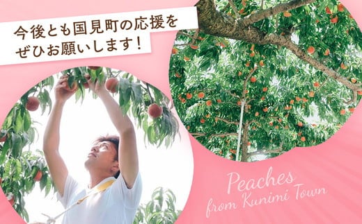 ◆2026年夏発送◆桃源の極み ～産直・桃・約2kg～ ※離島への配送不可 ※2026年7月上旬～9月上旬頃に順次発送予定｜先行予約 予約 桃 もも モモ 果物 くだもの フルーツ 詰め合わせ 福島 ふくしま