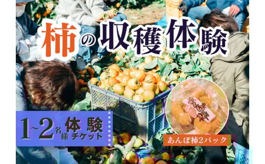 【季節限定】1～2人用／柿の収穫体験 チケット あんぽ柿（2トレー） ※着日指定不可 ※沖縄・離島への配送不可 ※2023年10月上旬～2024年2月下旬頃に順次発送予定