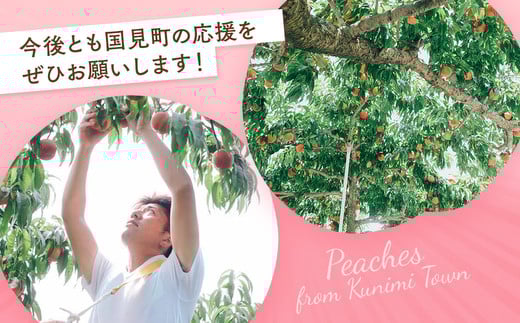 ◆2026年夏発送◆＜ 蟠桃・約2kg ＞ ※離島への配送不可 ※2026年7月中旬頃～8月下旬頃までに順次発送｜先行予約 予約 数量限定 桃 もも モモ 果物 くだもの フルーツ 詰め合わせ 福島 ふくしま