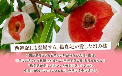 ◆2026年夏発送◆＜ 蟠桃・約2kg ＞ ※離島への配送不可 ※2026年7月中旬頃～8月下旬頃までに順次発送｜先行予約 予約 数量限定 桃 もも モモ 果物 くだもの フルーツ 詰め合わせ 福島 ふくしま