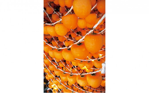 縺ゅs縺ス譟ソ 陷ょア区涸 繝医Ξ繝シ 230gテ8繝代ャ繧ッ笳 窶サ豐也ク繝サ髮「蟲カ縺ク縺ョ驟埼∽ク榊庄 窶サ2025蟷エ12譛井クュ譌ャス2026蟷エ3譛井クュ譌ャ鬆縺ォ鬆谺。逋コ騾∽コ亥ョ