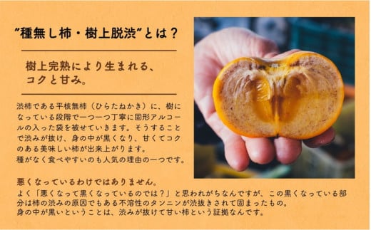 ◆2025年秋発送◆＜ 種無し柿（樹上脱渋）・約5kg ＞  ※2025年10月下旬〜11月下旬頃に順次発送予定