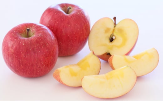 国見町産「サンふじ」10kg箱（24～32玉）※沖縄・離島への配送不可　※2025年11月中旬～12月下旬頃に順次発送予定