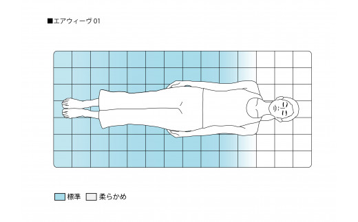 エアウィーヴ01 クイーン