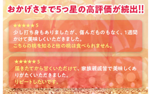 透過式光センサー川中島白桃 特秀5kg相当 15玉～18玉＜ ふくしま未来農業協同組合 ＞ | ふくしま 桃 福島 もも 国見 モモ ※2026年8月～発送