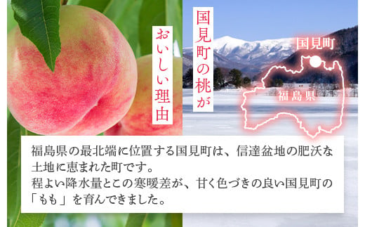 透過式光センサー川中島白桃 特秀5kg相当 15玉～18玉＜ ふくしま未来農業協同組合 ＞ | ふくしま 桃 福島 もも 国見 モモ ※2026年8月～発送