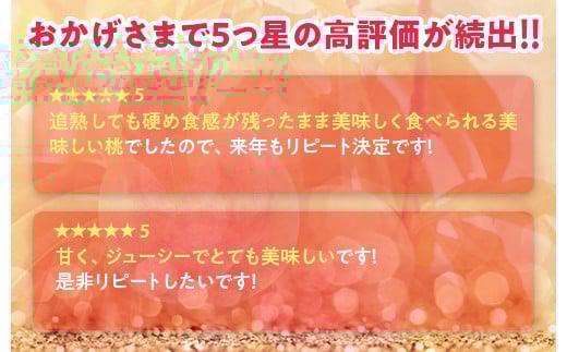 透過式光センサーまどか桃 特秀5kg相当 15玉～18玉＜ ふくしま未来農業協同組合 ＞ | ふくしま 桃 福島 もも 国見 モモ ※2026年8月上旬～8月中旬頃に順次発送予定 ※沖縄・離島への配送不可