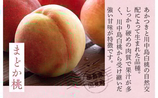 透過式光センサーまどか桃 特秀5kg相当 15玉～18玉＜ ふくしま未来農業協同組合 ＞ | ふくしま 桃 福島 もも 国見 モモ ※2026年8月上旬～8月中旬頃に順次発送予定 ※沖縄・離島への配送不可