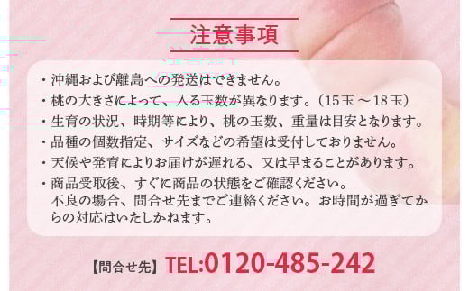 透過式光センサーあかつき桃 特秀5kg相当 15玉～18玉＜ ふくしま未来農業協同組合 ＞ | ふくしま 桃 福島 もも 国見 モモ ※2026年7月中旬～8月上旬頃に順次発送予定 ※沖縄・離島への配送不可
