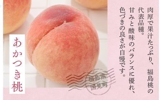 透過式光センサーあかつき桃 特秀5kg相当 15玉～18玉＜ ふくしま未来農業協同組合 ＞ | ふくしま 桃 福島 もも 国見 モモ ※2026年7月中旬～8月上旬頃に順次発送予定 ※沖縄・離島への配送不可