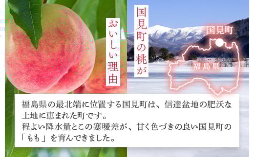 透過式光センサーあかつき桃 特秀5kg相当 15玉～18玉＜ ふくしま未来農業協同組合 ＞ | ふくしま 桃 福島 もも 国見 モモ ※2026年7月中旬～8月上旬頃に順次発送予定 ※沖縄・離島への配送不可
