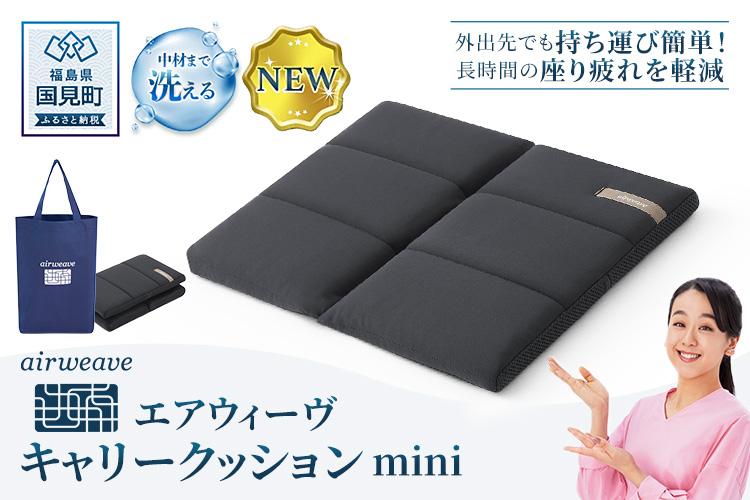エアウィーヴ キャリークッションmini | airweave おすすめ
