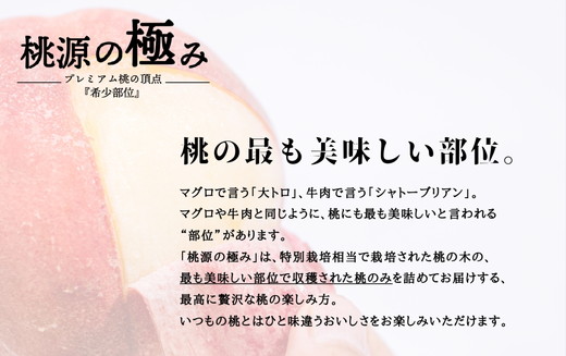 ◆2025年夏発送◆ 桃源の極み ～産直・桃・約1kg～　※離島への配送不可　※2025年7月上旬～9月上旬頃に順次発送予定