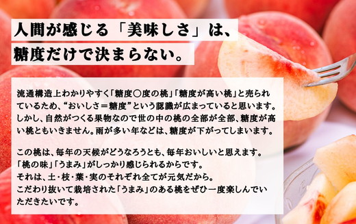 ◆2025年夏発送◆桃源の極み～産直・桃・約1kg×3回～ ｜ 先行予約 予約 数量限定 桃 もも モモ 果物 くだもの フルーツ 詰め合わせ 福島 ふくしま　※離島への配送不可　※2025年7月中旬～9月上旬頃に順次発送予定