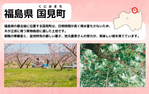 ◆2025年夏発送◆ 桃源の極み ～産直・桃・約1kg～　※離島への配送不可　※2025年7月上旬～9月上旬頃に順次発送予定