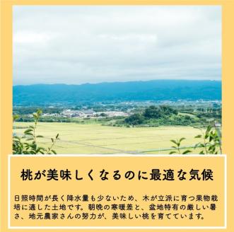 ◆2023 夏 発送◆＜桃・家庭用・3kg＞<br>※着日指定不可<br>※沖縄・離島への配送不可<br>※2023年7月中旬〜9月上旬頃に順次発送予定