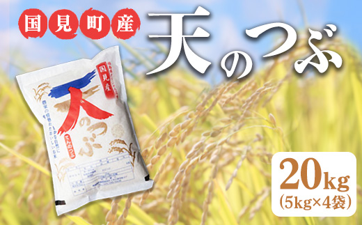 【令和6年産】米　国見町産　天のつぶ 20kg　5kg×4袋 ※九州・沖縄県・離島への配送不可 ※2024年10月中旬～2025年2月頃に順次発送予定