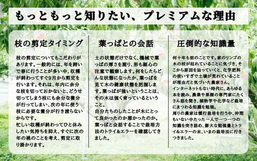 ◆2025年夏発送◆暁星～産直・桃・約2kg～ ｜ 先行予約 予約 数量限定 桃 もも モモ 果物 くだもの フルーツ 詰め合わせ 福島 ふくしま　※離島への配送不可　※2025年7月上旬～7月下旬頃に順次発送予定