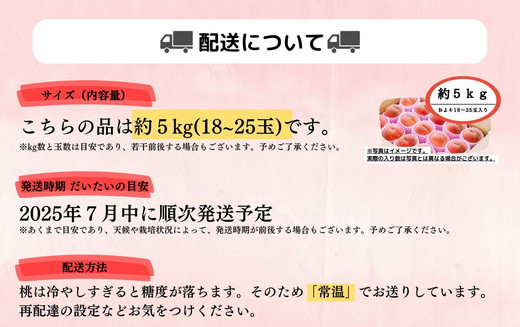 ◆2025年夏発送◆暁星～産直・桃・約5kg～ ｜ 先行予約 予約 数量限定 桃 もも モモ 果物 くだもの フルーツ 詰め合わせ 福島 ふくしま　※離島への配送不可　※2025年7月上旬～7月下旬頃に順次発送予定