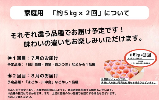 ◆2025年夏発送◆＜家庭用　約5kg×2回＞ ｜ 先行予約 予約 数量限定 桃 もも モモ 果物 くだもの フルーツ 詰め合わせ 福島 ふくしま　※離島への配送不可　※2025年7月上旬～8月中旬頃に順次発送予定