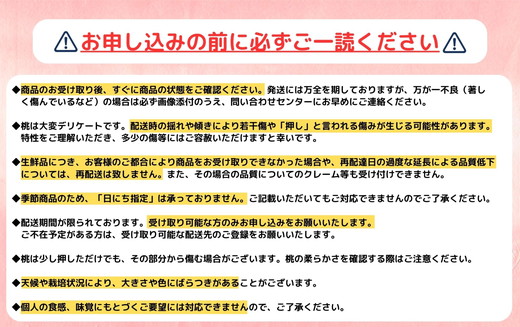 ◆2025年夏発送◆暁星～産直・桃・約5kg～ ｜ 先行予約 予約 数量限定 桃 もも モモ 果物 くだもの フルーツ 詰め合わせ 福島 ふくしま　※離島への配送不可　※2025年7月上旬～7月下旬頃に順次発送予定