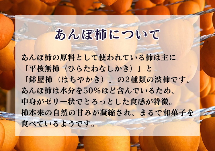 【季節限定】1～2人用／柿の収穫体験 チケット あんぽ柿（2トレー） ※着日指定不可 ※沖縄・離島への配送不可 ※2023年10月上旬～2024年2月下旬頃に順次発送予定