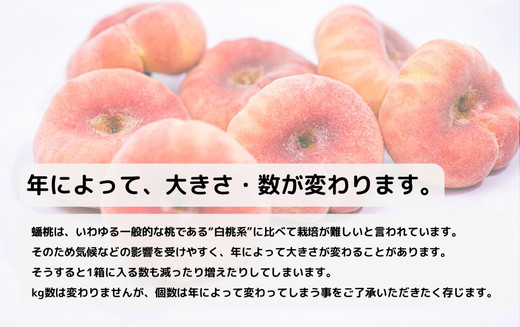 ◆2025年夏発送◆＜ 蟠桃・約2kg ＞※離島への配送不可 ※2025年7月下旬～8月中旬頃に順次発送予定