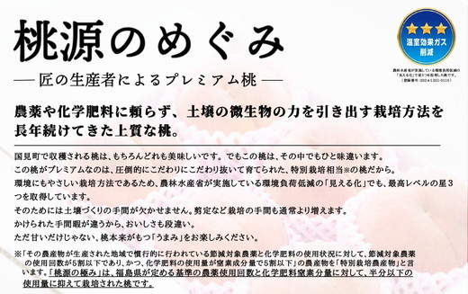 ◆2025年夏発送◆桃源のめぐみ ～産直・桃・約2kg～ ※離島への配送不可 ※2025年7月上旬～9月上旬頃に順次発送予定