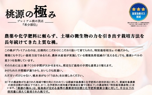 ◆2025年夏発送◆ 桃源の極み ～産直・桃・約1kg～　※離島への配送不可　※2025年7月上旬～9月上旬頃に順次発送予定