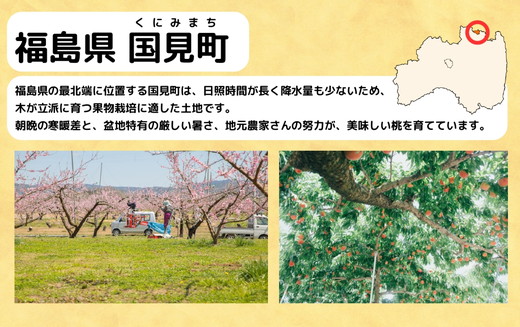 ◆2025年夏発送◆＜ 産直・家庭用 桃・約1.5kg ＞ ※北海道・沖縄・離島への配送不可 ※2025年7月中旬～8月中旬頃に順次発送予定