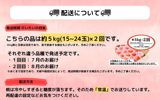 ◆2025年夏発送◆＜家庭用　約5kg×2回＞ ｜ 先行予約 予約 数量限定 桃 もも モモ 果物 くだもの フルーツ 詰め合わせ 福島 ふくしま　※離島への配送不可　※2025年7月上旬～8月中旬頃に順次発送予定