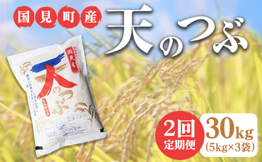 【全2回定期便】【令和6年産】米　国見町産　天のつぶ 30kg　5kg×3袋　2回定期便 ※九州・沖縄県・離島への配送不可 ※2024年10月中旬～2025年2月頃に順次発送予定