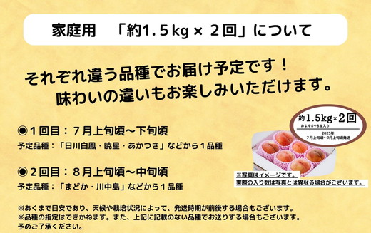 ◆2025年夏発送◆＜家庭用　約1.5kg×2回＞ ｜ 先行予約 予約 数量限定 桃 もも モモ 果物 くだもの フルーツ 詰め合わせ 福島 ふくしま　※離島への配送不可　※2025年7月上旬～8月中旬頃に順次発送予定