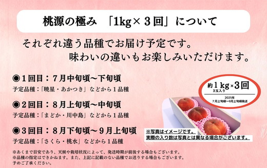 ◆2025年夏発送◆桃源の極み～産直・桃・約1kg×3回～ ｜ 先行予約 予約 数量限定 桃 もも モモ 果物 くだもの フルーツ 詰め合わせ 福島 ふくしま　※離島への配送不可　※2025年7月中旬～9月上旬頃に順次発送予定