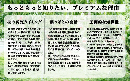 ◆2025年夏発送◆ 桃源の極み ～産直・桃・約1kg～　※離島への配送不可　※2025年7月上旬～9月上旬頃に順次発送予定