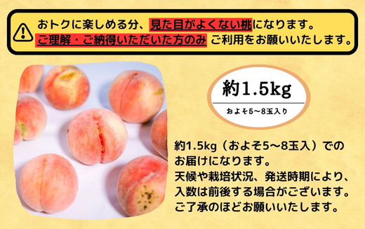 ◆2025年夏発送◆＜家庭用　約1.5kg×2回＞ ｜ 先行予約 予約 数量限定 桃 もも モモ 果物 くだもの フルーツ 詰め合わせ 福島 ふくしま　※離島への配送不可　※2025年7月上旬～8月中旬頃に順次発送予定