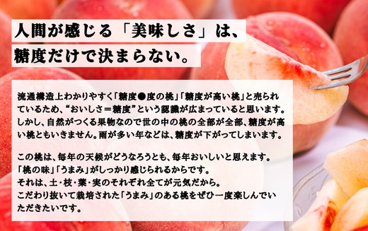 ◆2025年夏発送◆ 桃源の極み ～産直・桃・約1kg～　※離島への配送不可　※2025年7月上旬～9月上旬頃に順次発送予定