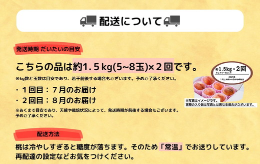 ◆2025年夏発送◆＜家庭用　約1.5kg×2回＞ ｜ 先行予約 予約 数量限定 桃 もも モモ 果物 くだもの フルーツ 詰め合わせ 福島 ふくしま　※離島への配送不可　※2025年7月上旬～8月中旬頃に順次発送予定