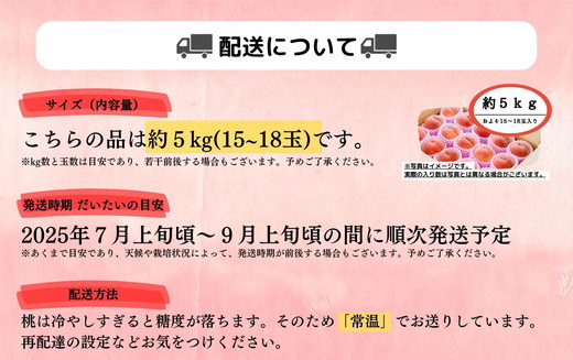 ◆2025年夏発送◆桃源のめぐみ～産直・桃・約5kg～ ｜ 先行予約 予約 数量限定 桃 もも モモ 果物 くだもの フルーツ 詰め合わせ 福島 ふくしま　※離島への配送不可　※2025年7月上旬～9月上旬頃に順次発送予定