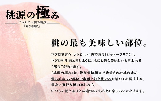 ◆2025年夏発送◆桃源の極み～産直・桃・約1kg×3回～ ｜ 先行予約 予約 数量限定 桃 もも モモ 果物 くだもの フルーツ 詰め合わせ 福島 ふくしま　※離島への配送不可　※2025年7月中旬～9月上旬頃に順次発送予定