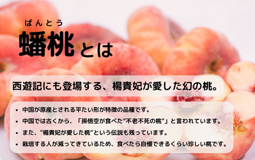 ◆2025年夏発送◆＜ 蟠桃・約2kg ＞※離島への配送不可 ※2025年7月下旬～8月中旬頃に順次発送予定